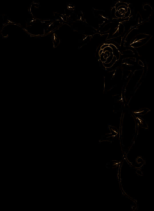 Elegant Floral Design Black Background PNG