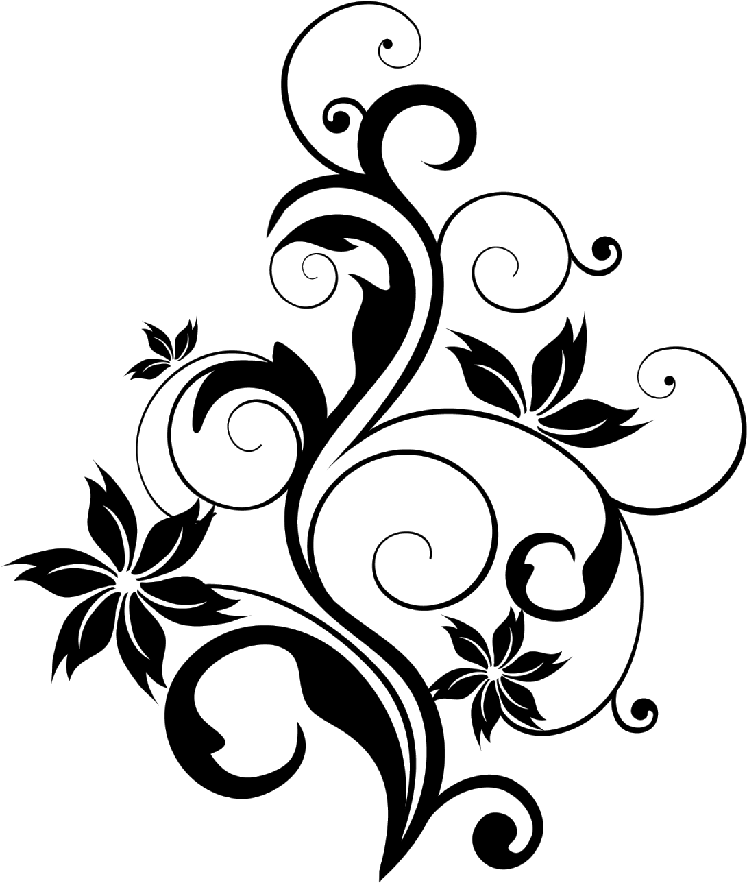 Elegant Floral Design Vector PNG