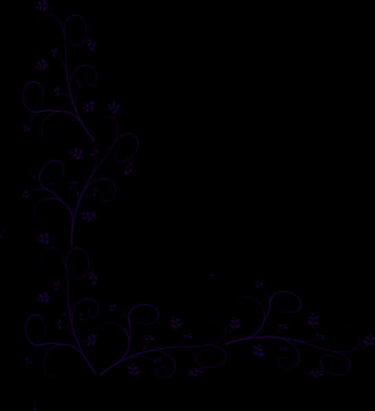 Elegant Floral Designon Dark Background PNG