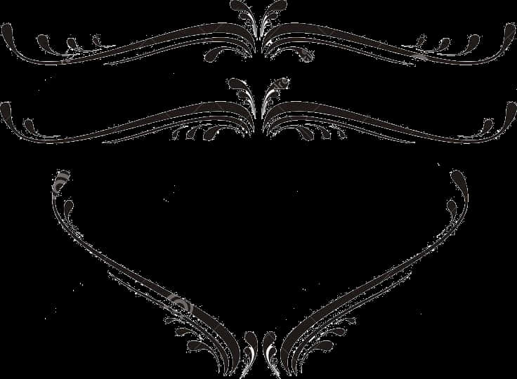 Elegant Floral Frame Design PNG