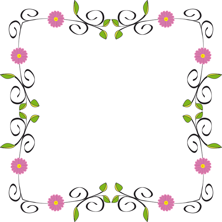 Elegant Floral Frame Design PNG