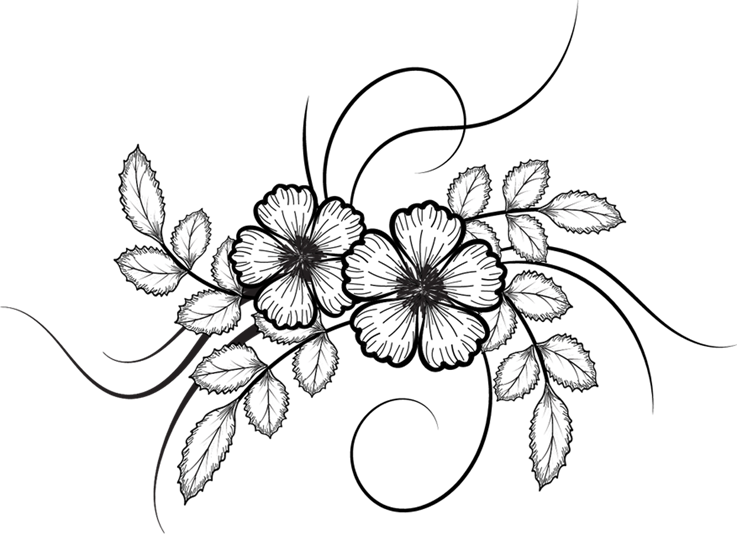Elegant Floral Sketch PNG