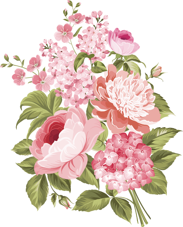 [100+] Floral Vector Png Images | Wallpapers.com