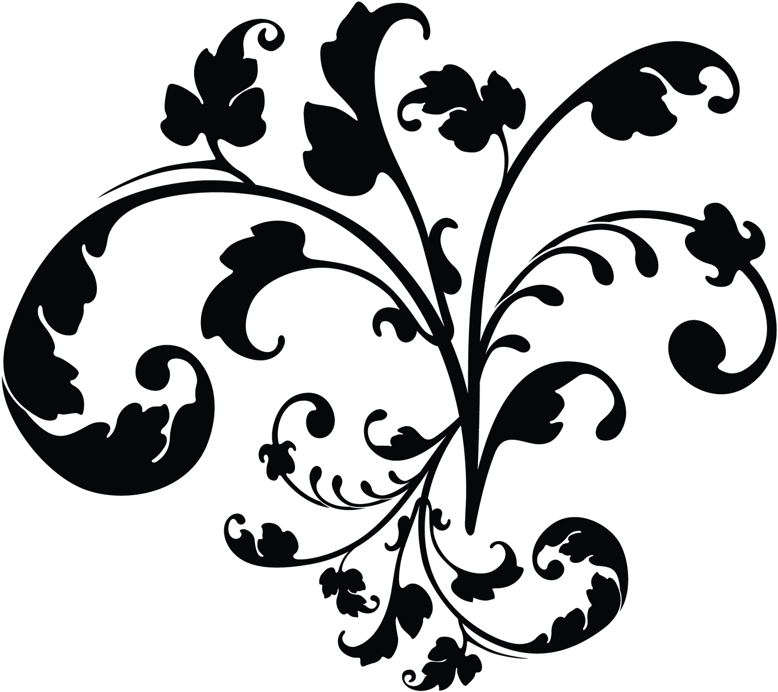 Elegant Floral Vector Design PNG