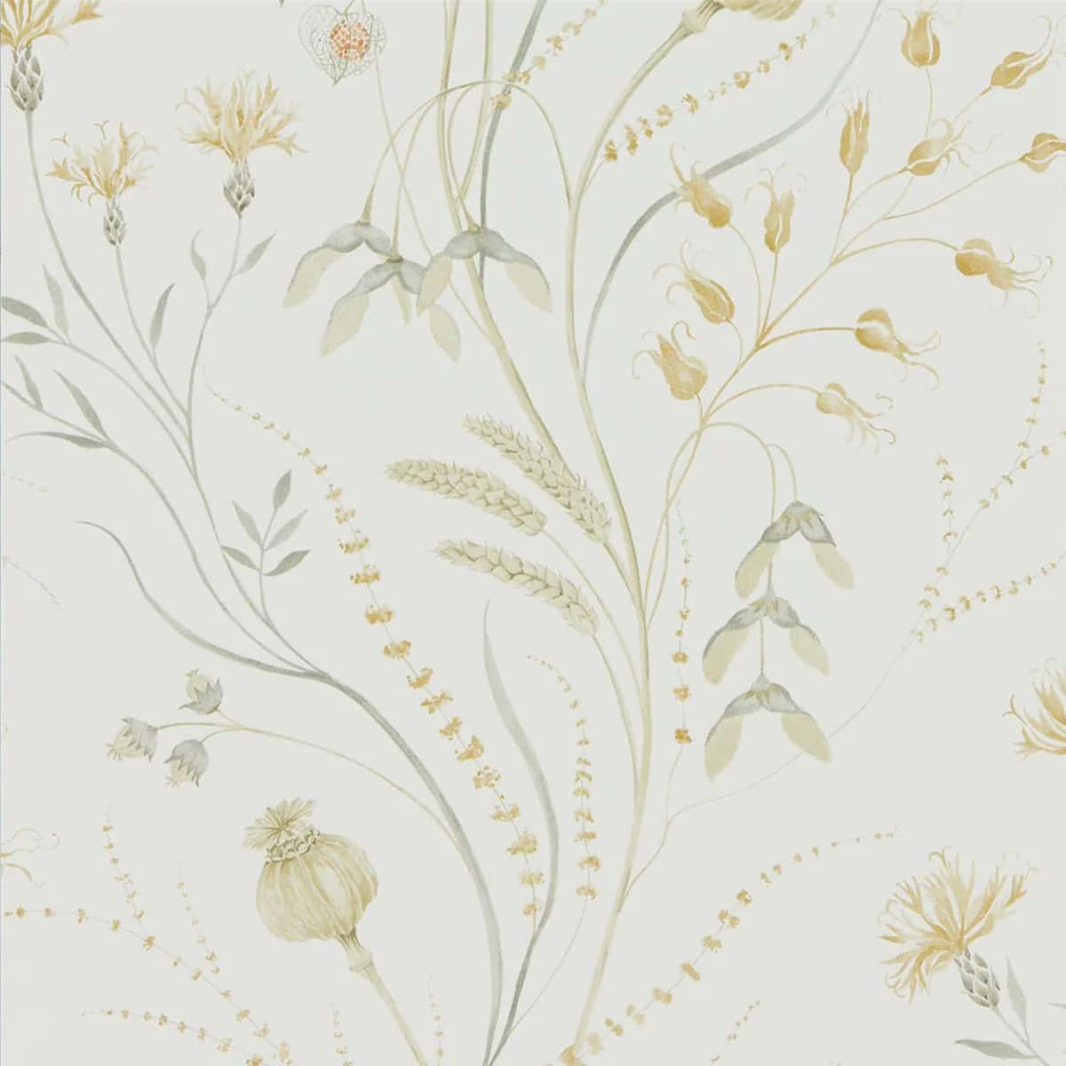 Elegant Floral Wallpaper Pattern Wallpaper