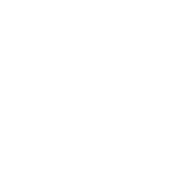 Elegant Flourish Design PNG