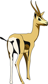 Elegant Gazelle Illustration PNG