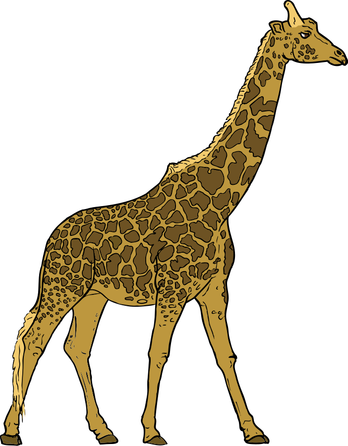Elegant Giraffe Standing Profile PNG