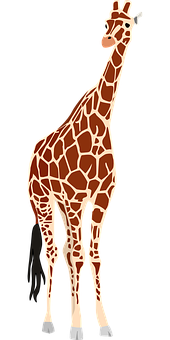 Elegant Giraffe Standing Vector PNG