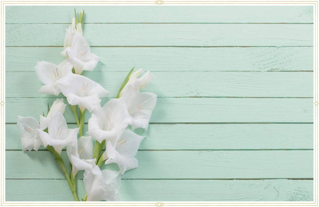 Smukke gladioler blomster sødmefylde denne beroligende tapet. Wallpaper