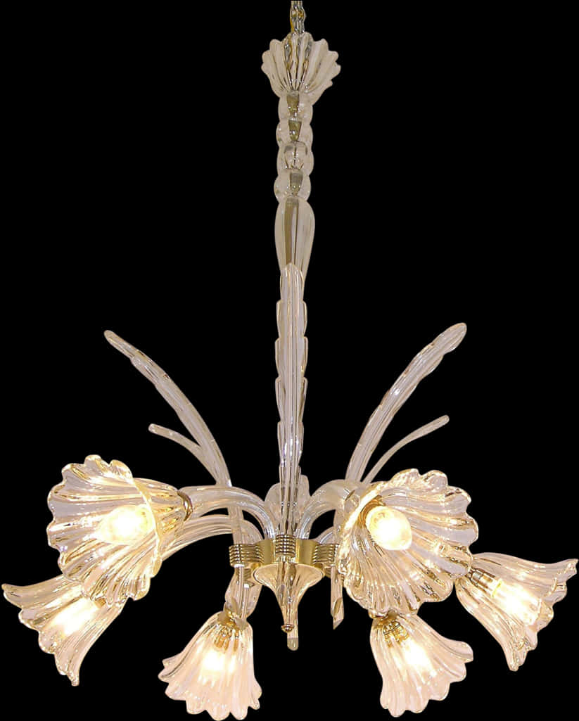 Elegant Glass Chandelier Illuminated PNG