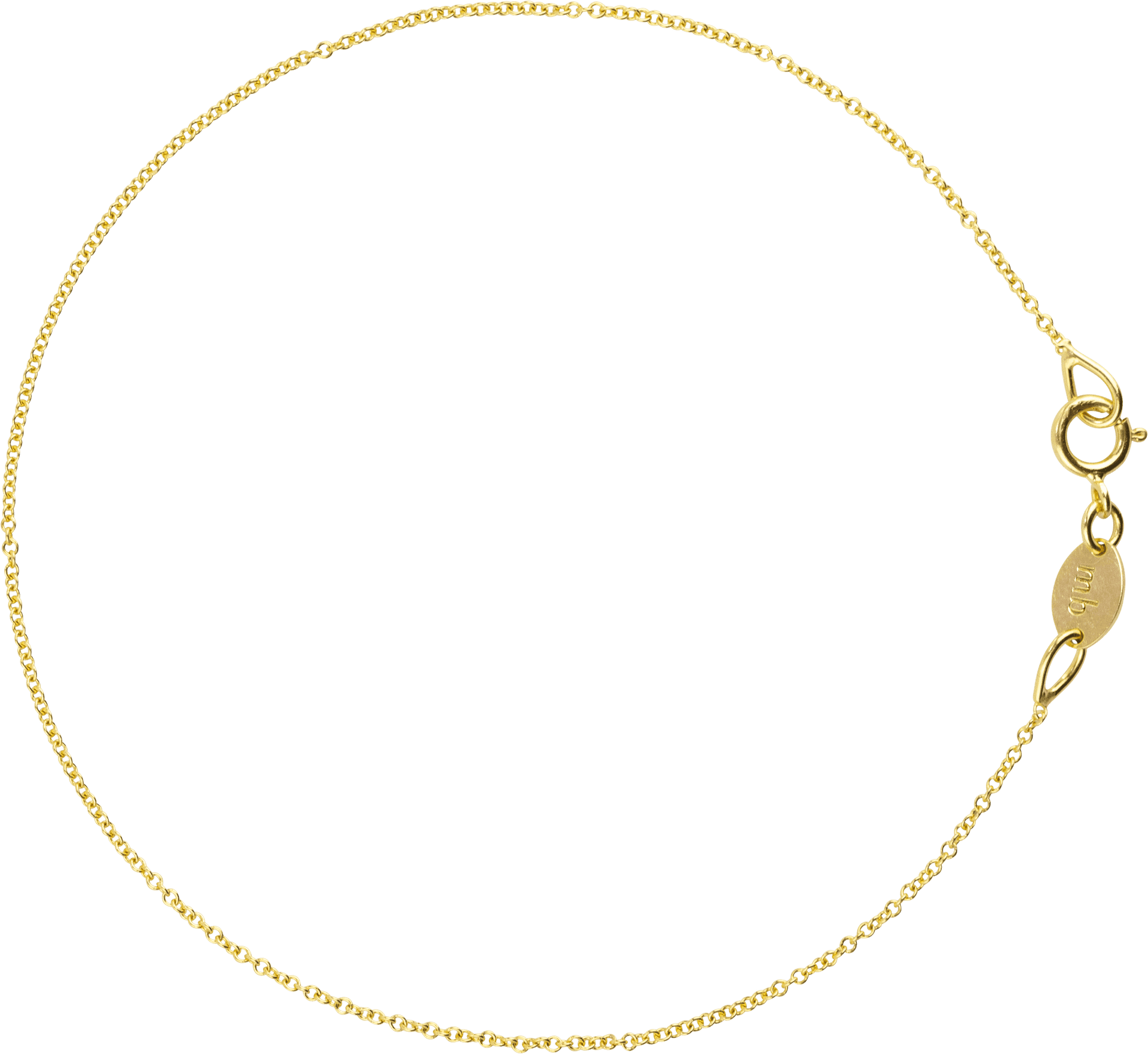 Elegant Gold Chain Isolated PNG