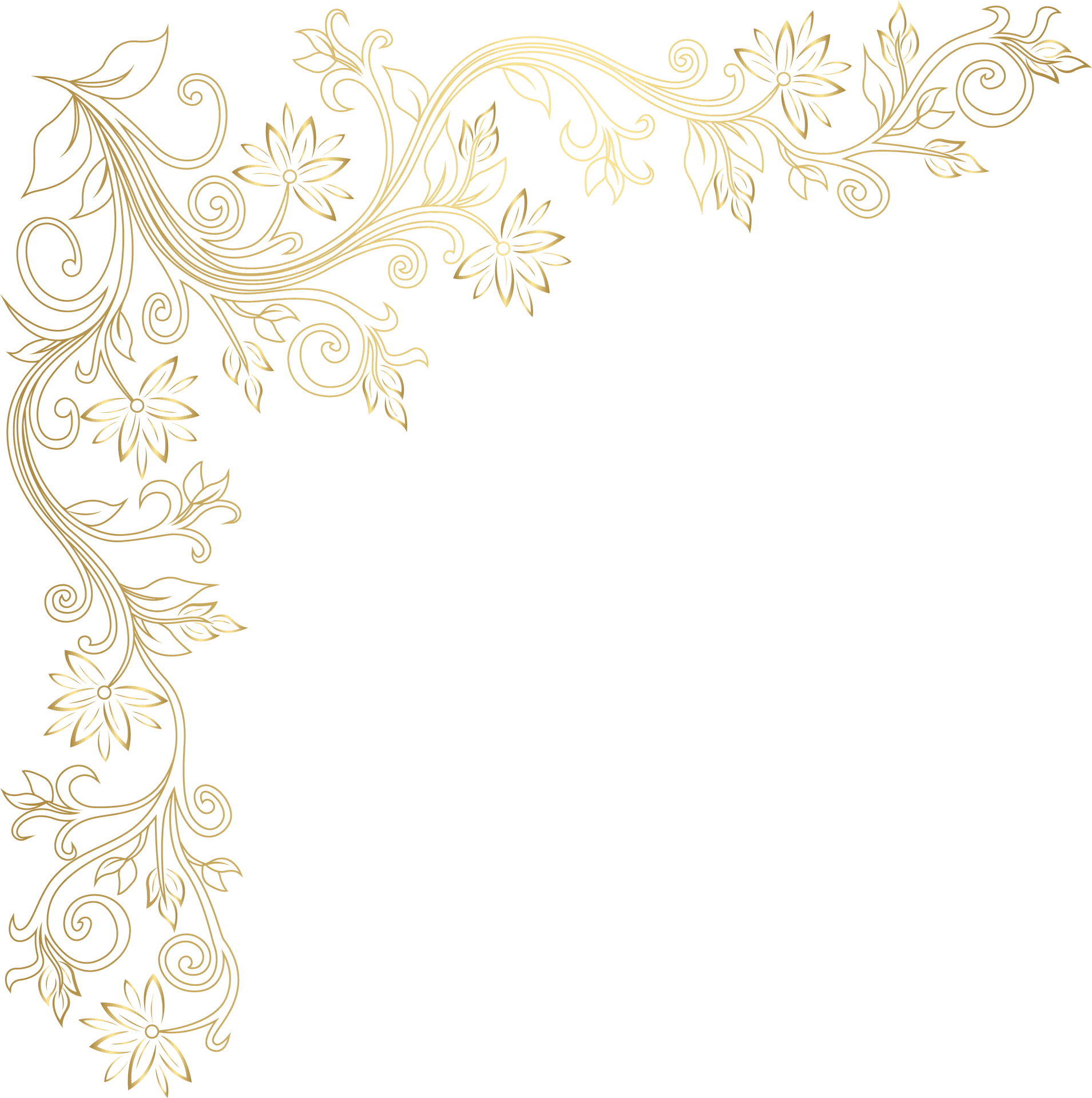 Elegant Gold Floral Corner Design PNG