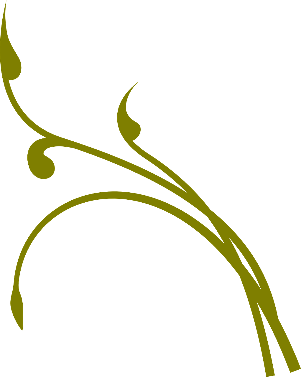 Elegant Golden Flourish Graphic PNG