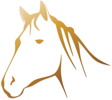 Elegant Golden Horse Profile PNG