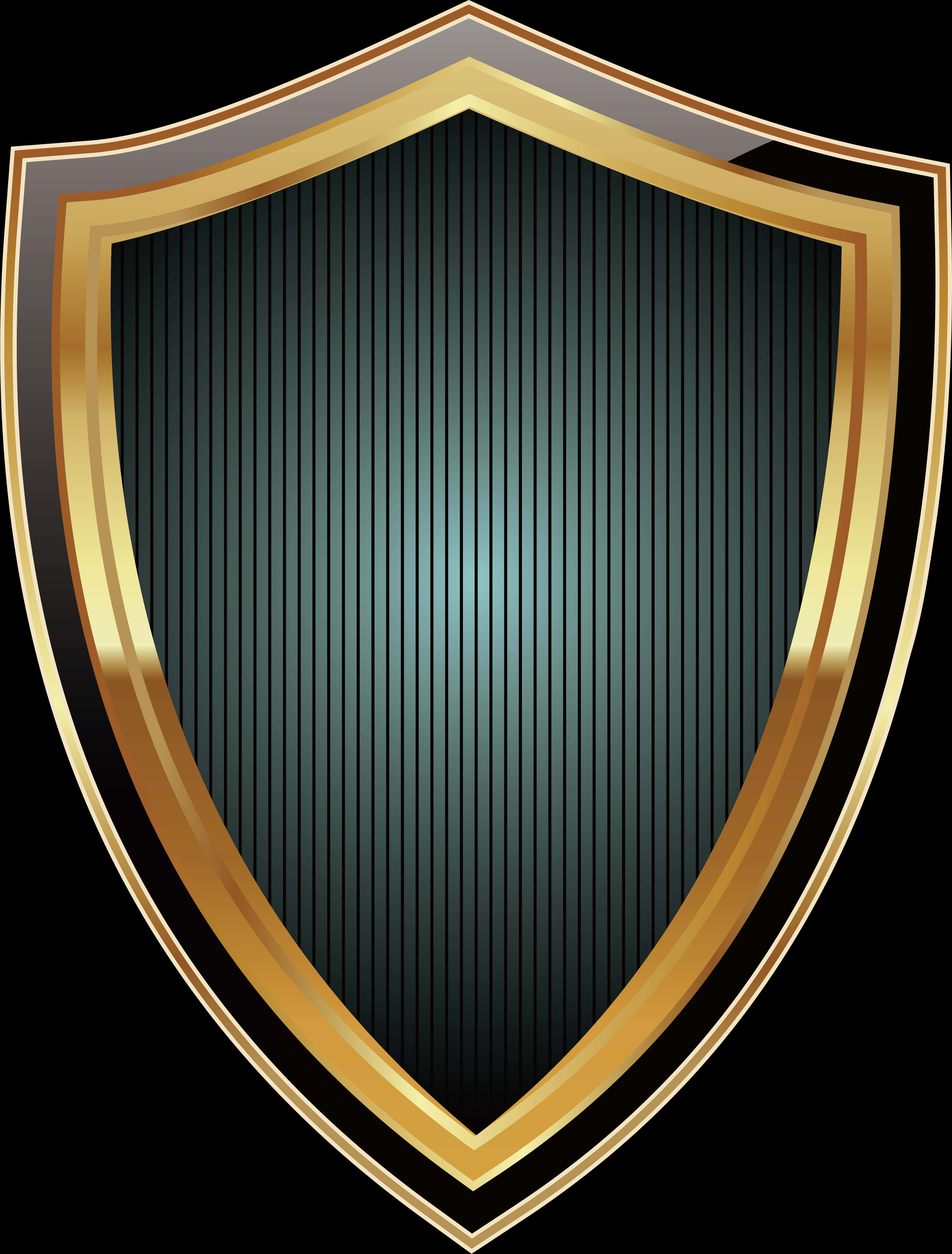 Elegant Golden Trimmed Shield PNG