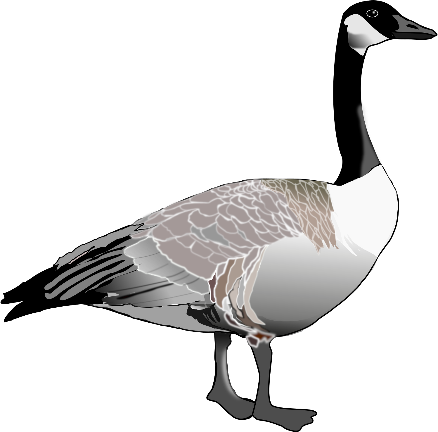 Elegant Goose Illustration PNG