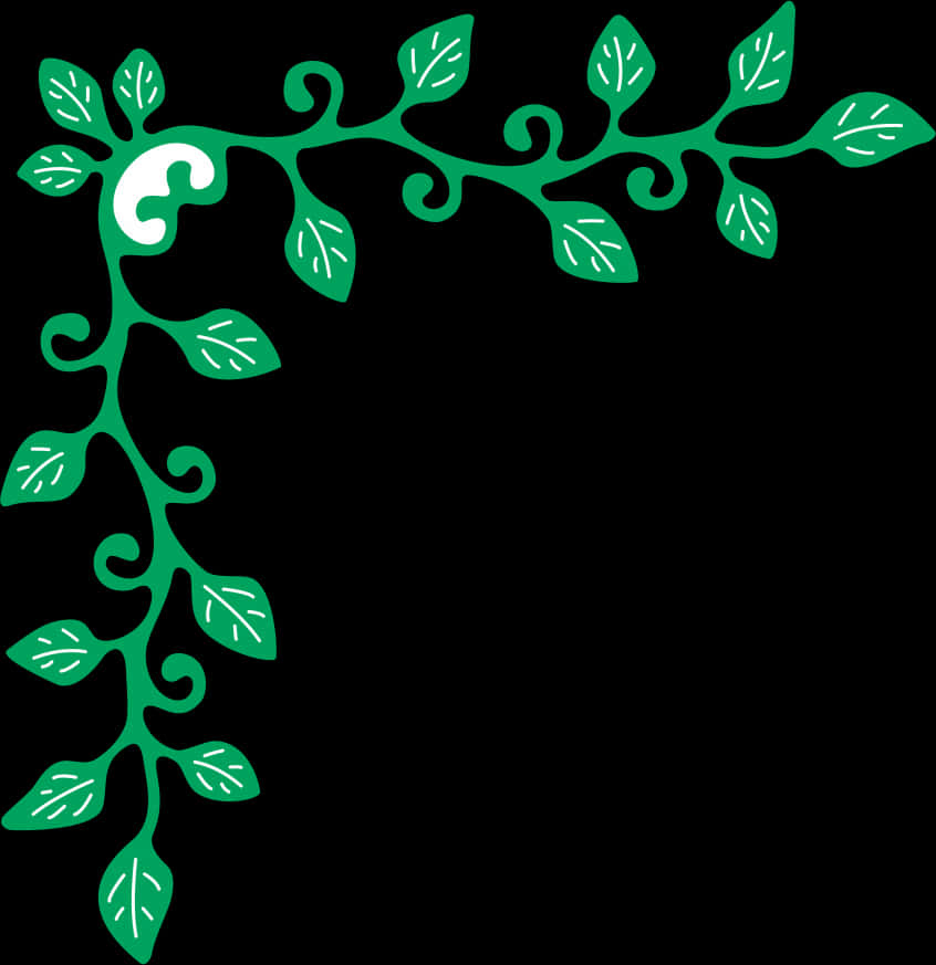 Elegant Green Floral Wedding Border Design PNG