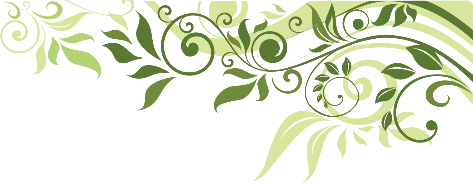 Elegant Green Leaf Flourish Border PNG