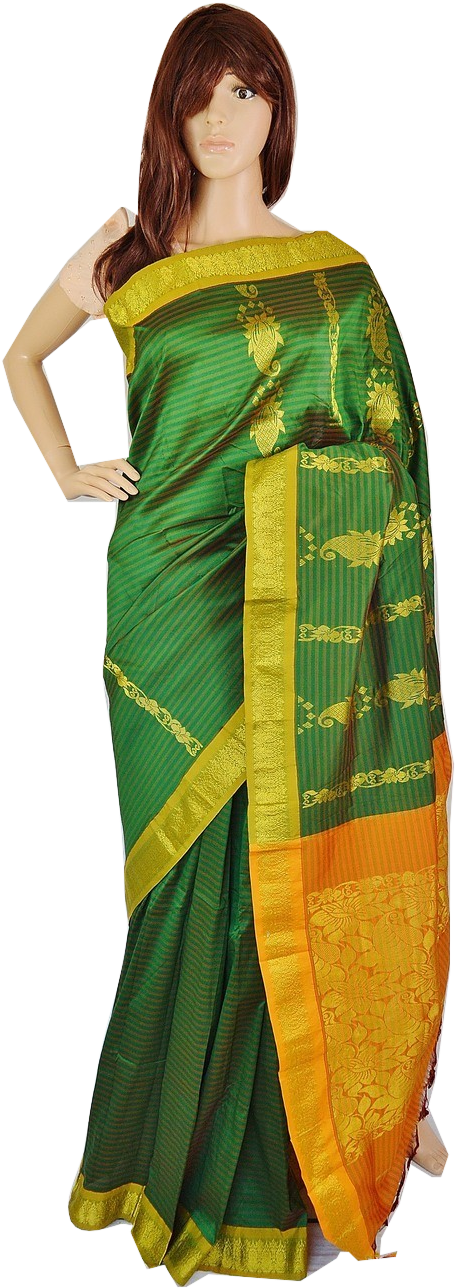 Elegant Green Saree Mannequin PNG