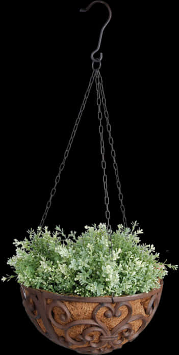 Elegant Hanging Planter With Flowers PNG
