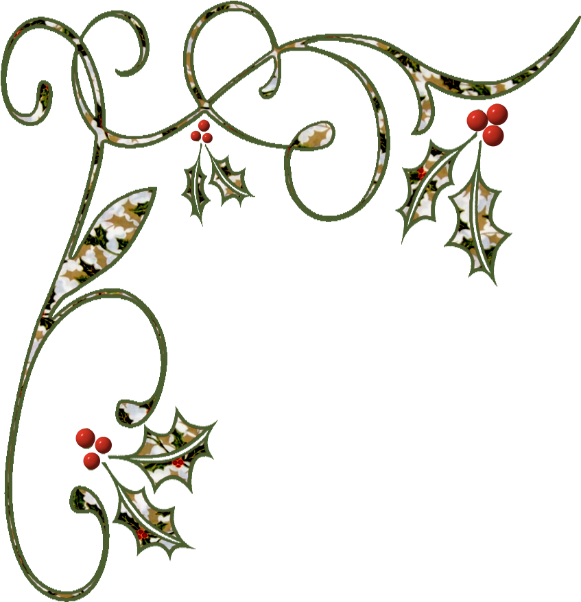 Elegant Holly Scroll Clipart PNG