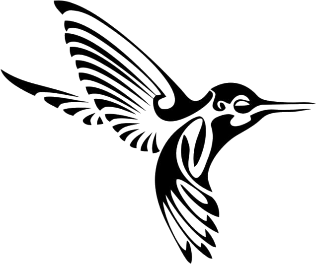 Elegant Hummingbird Silhouette PNG