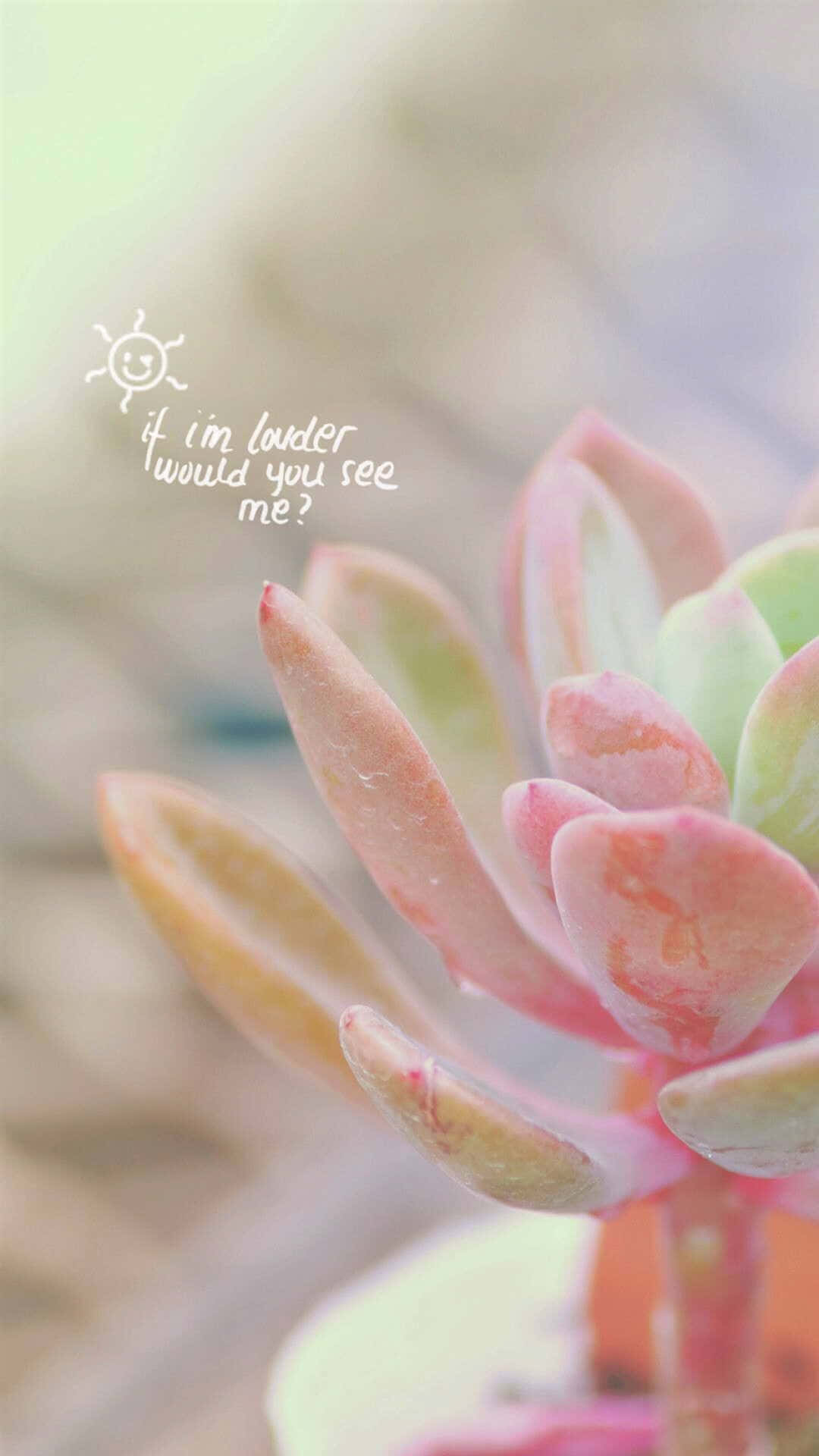 Echeveria Blomstrende Plante Elegant iPhone Close Up Shot Wallpaper