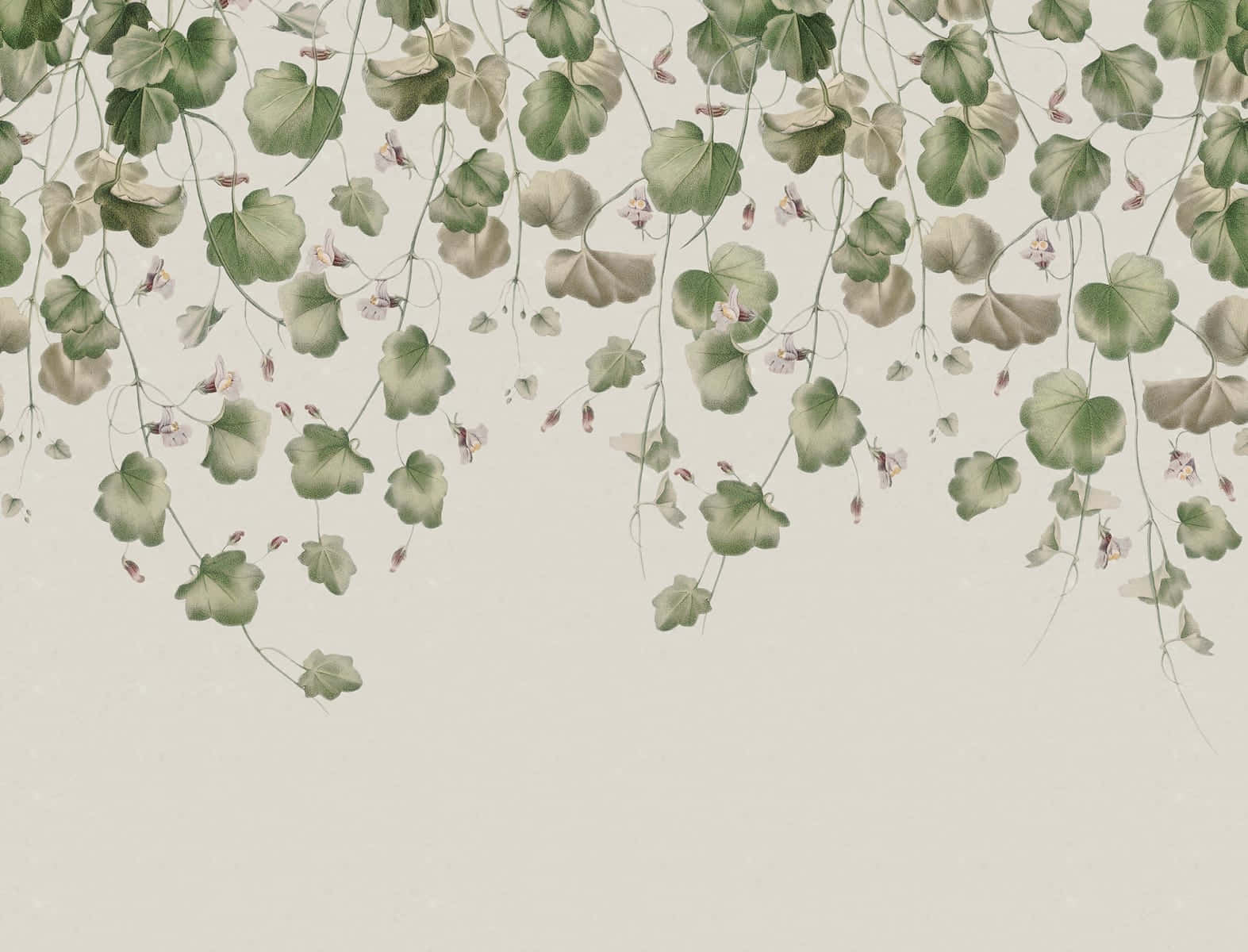 Elegant Ivy Pattern Background Wallpaper