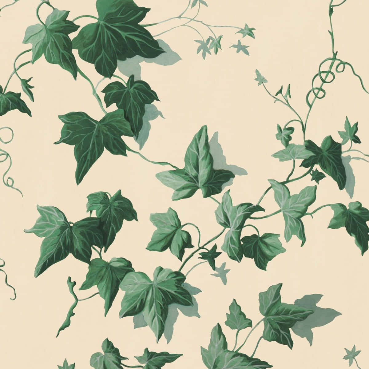 Elegant Ivy Pattern Wallpaper