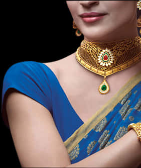 Elegant Jewelry Adornment Blue Saree PNG