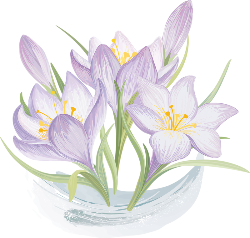Elegant Lavender Floral Vector PNG