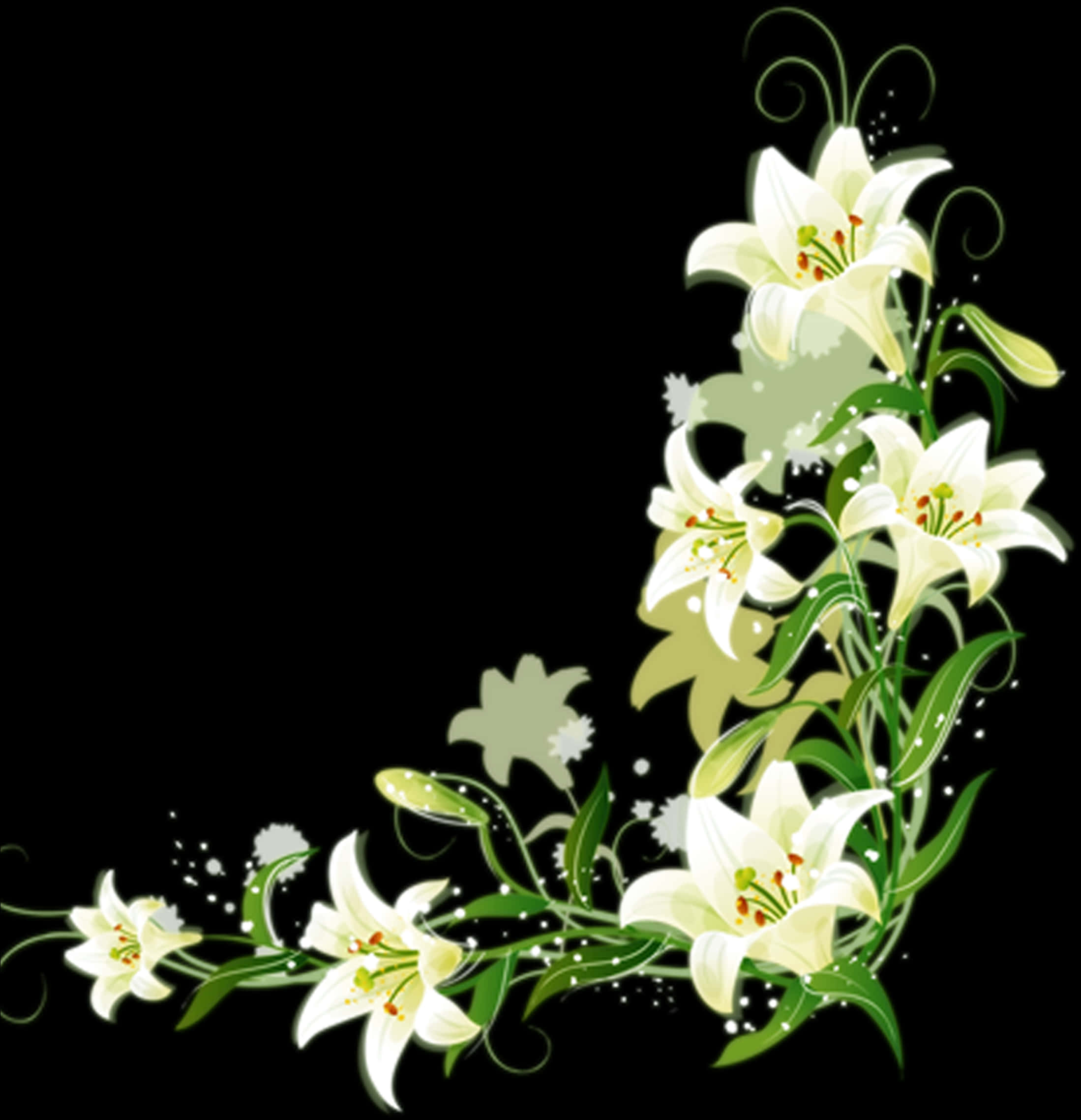 Elegant Lilies Floral Artwork PNG