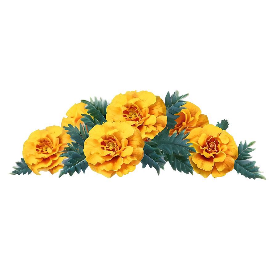 Elegant Marigolds Composition Png 06132024 PNG