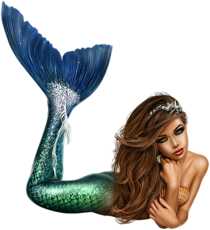 Elegant Mermaid Illustration PNG