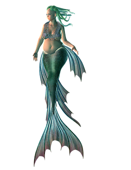 Elegant Mermaid Illustration PNG