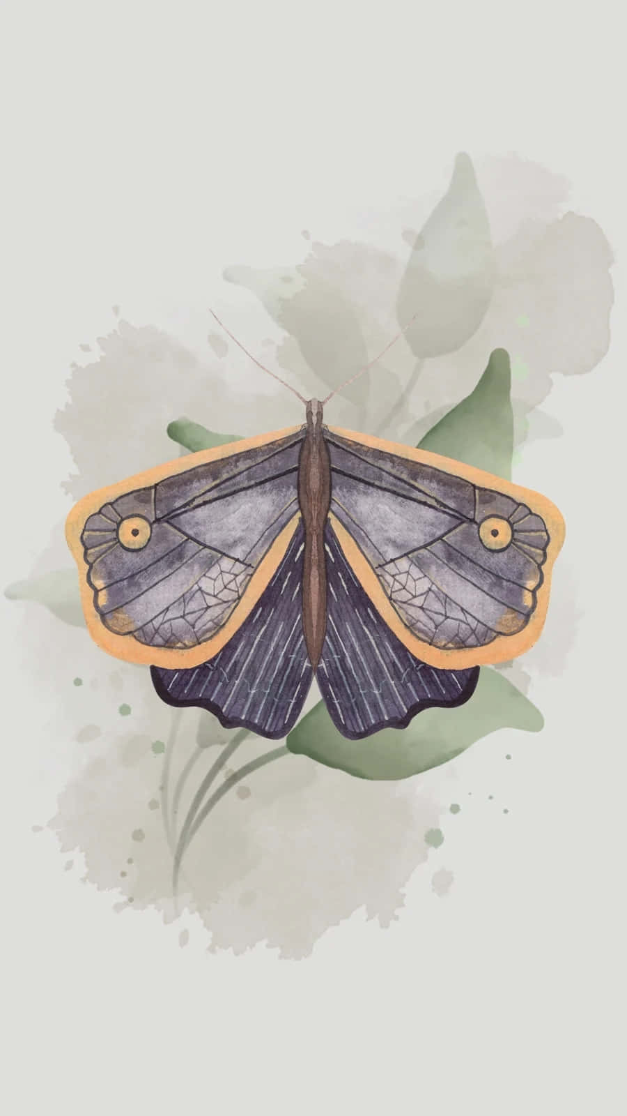 Elegant Moth Illustration Wallpaper