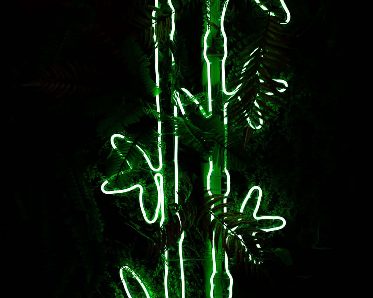 Elegant Neon Plant | Glowing In The Dark Wallpaper