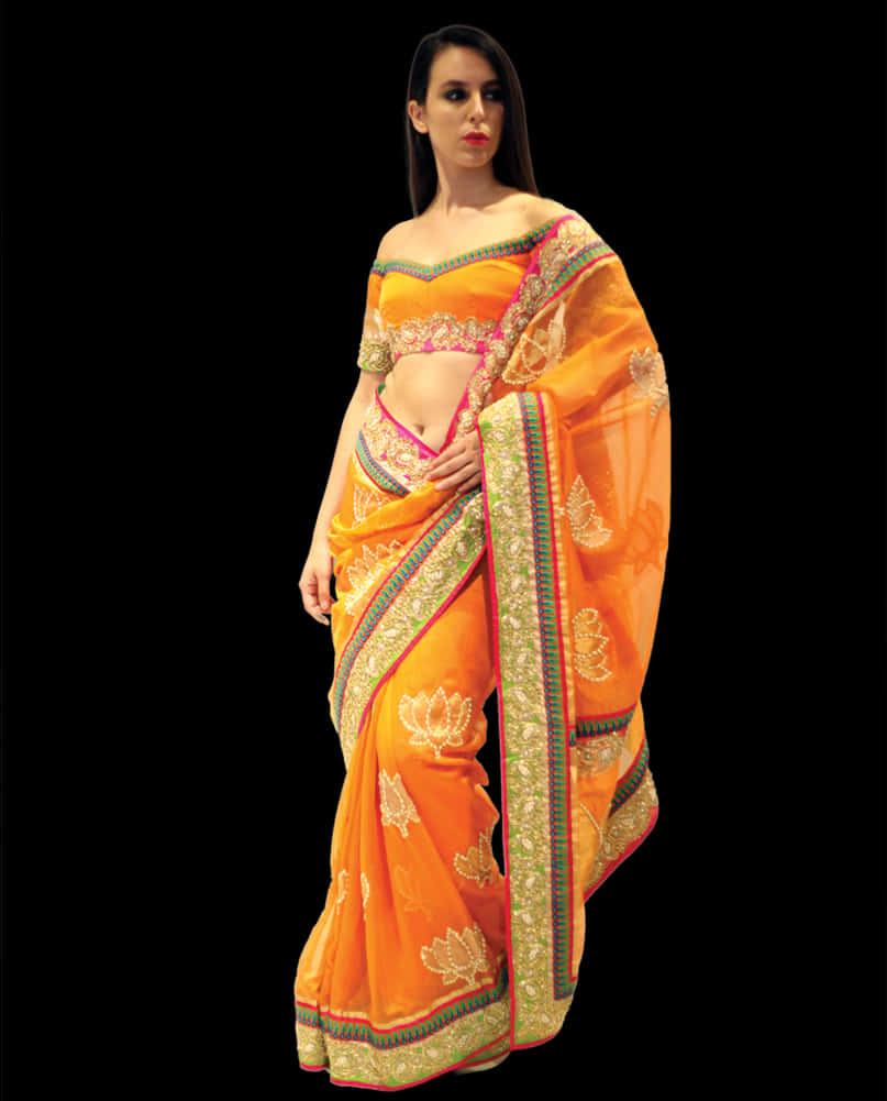 Elegant Orange Saree Model PNG