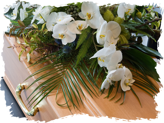 Elegant Orchid Funeral Casket PNG