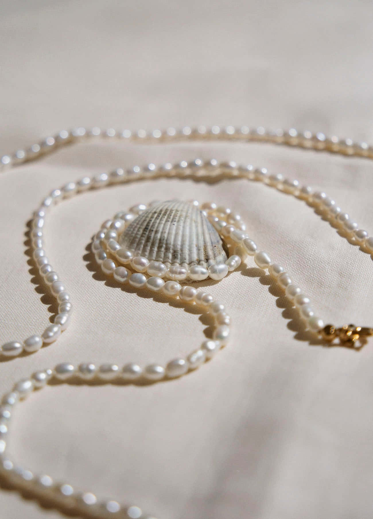 Elegant Pearl Necklacewith Sea Shell Wallpaper