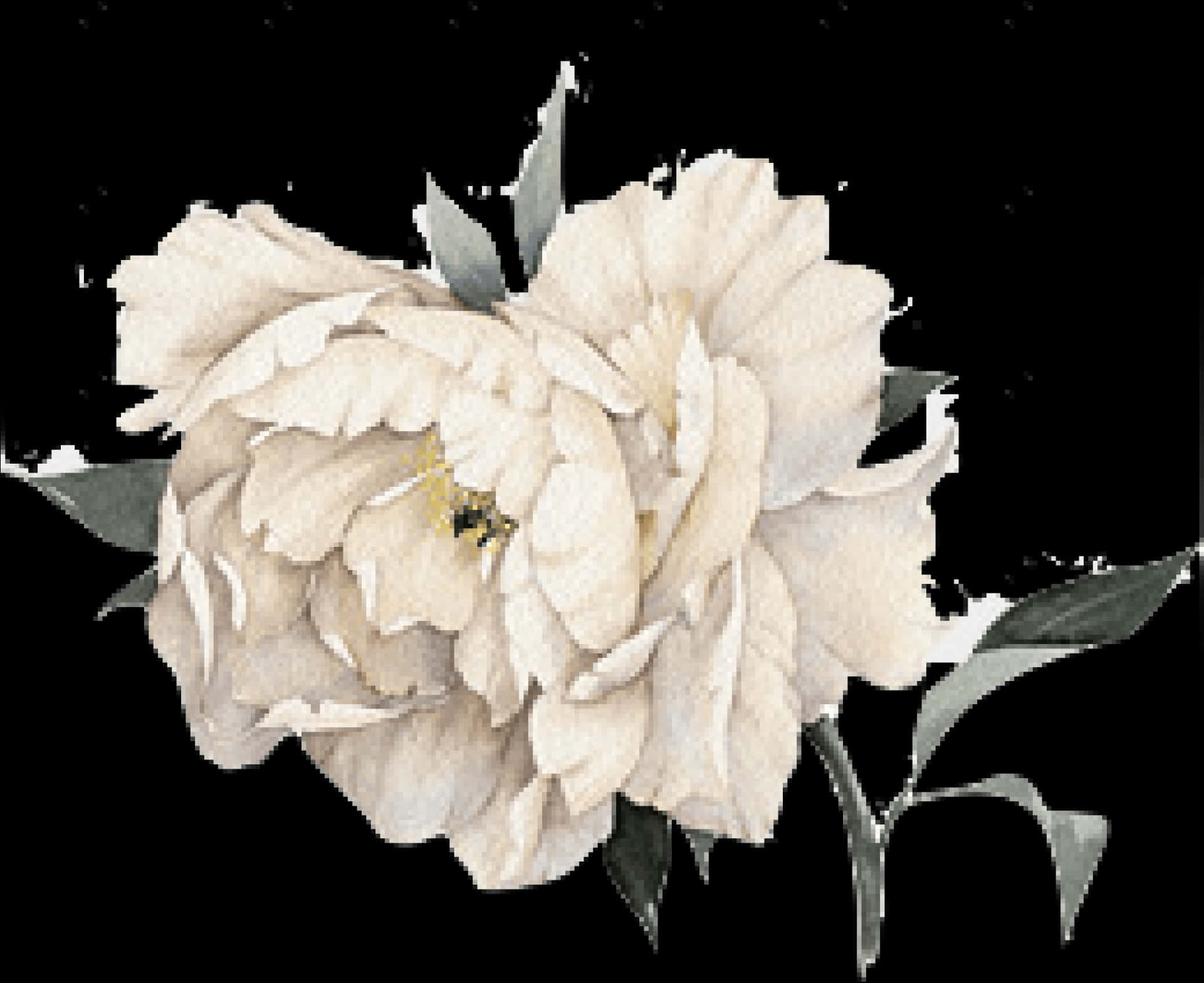 Elegant Peony Watercolor PNG