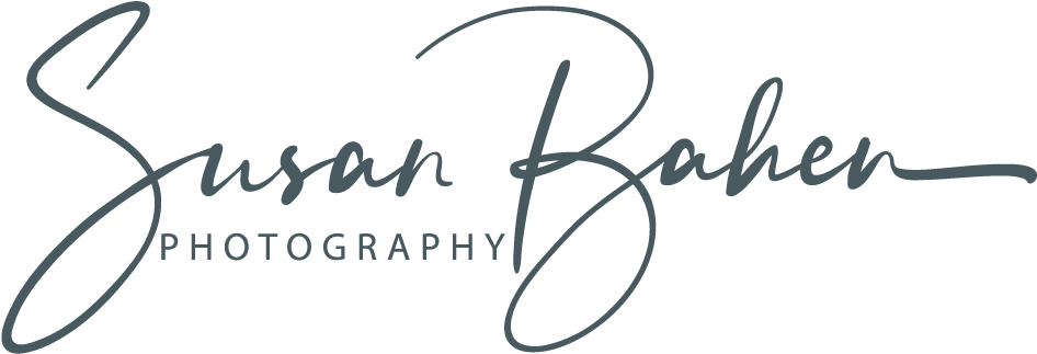 Elegant Photography Logo Susan Baken PNG