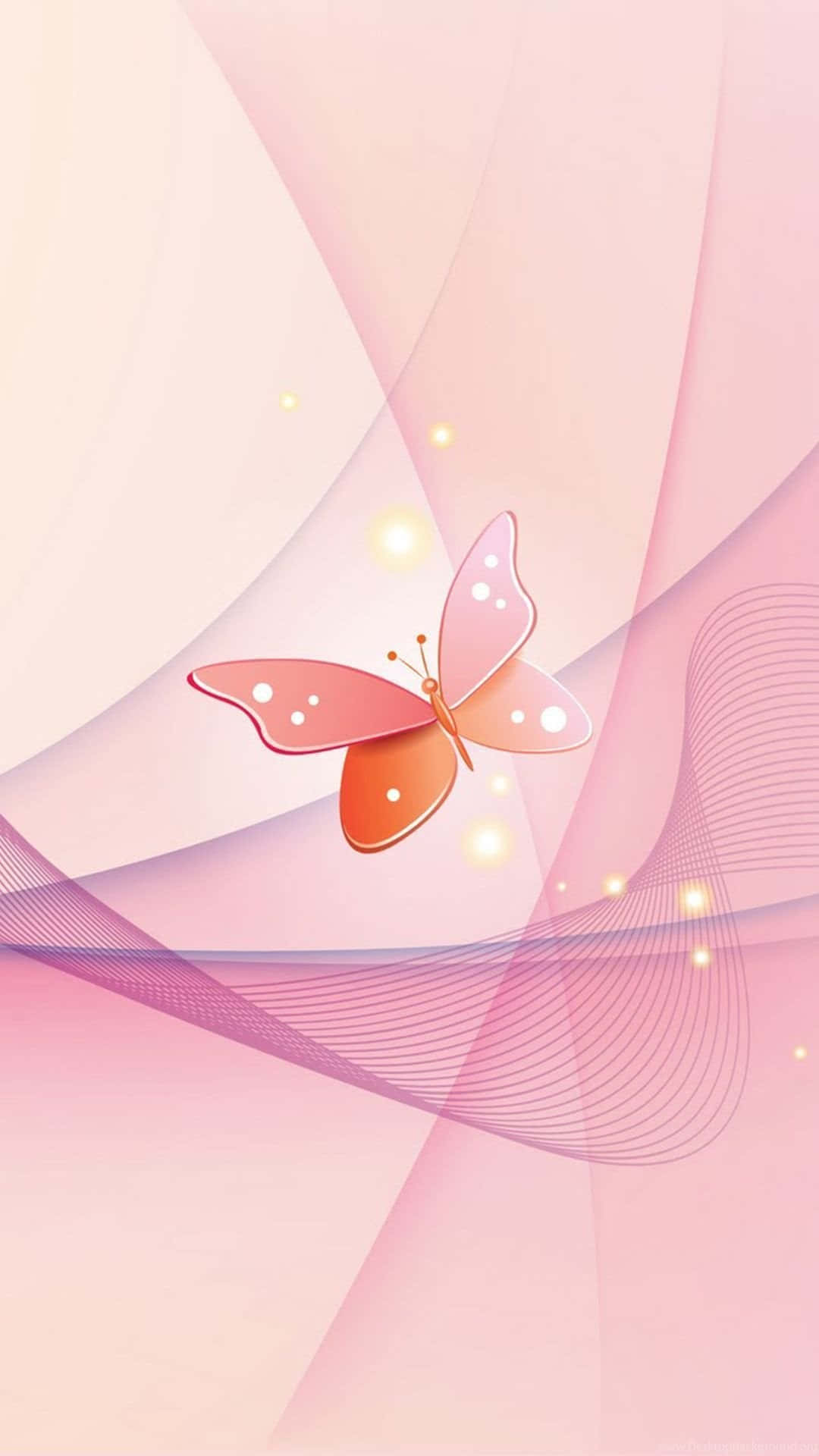 Elegant Pink Butterfly On Bloomed Flower