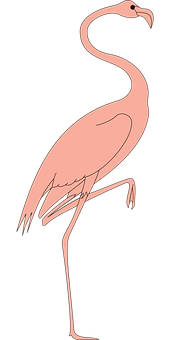 Elegant Pink Flamingo Graphic PNG