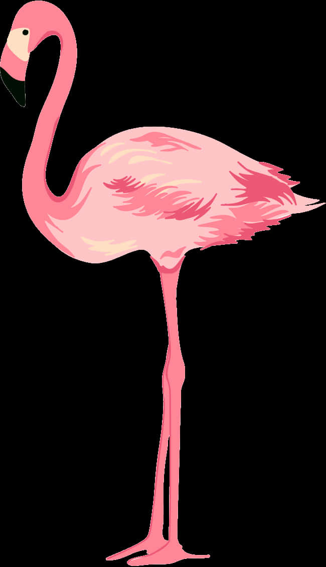 Elegant Pink Flamingo Standing PNG