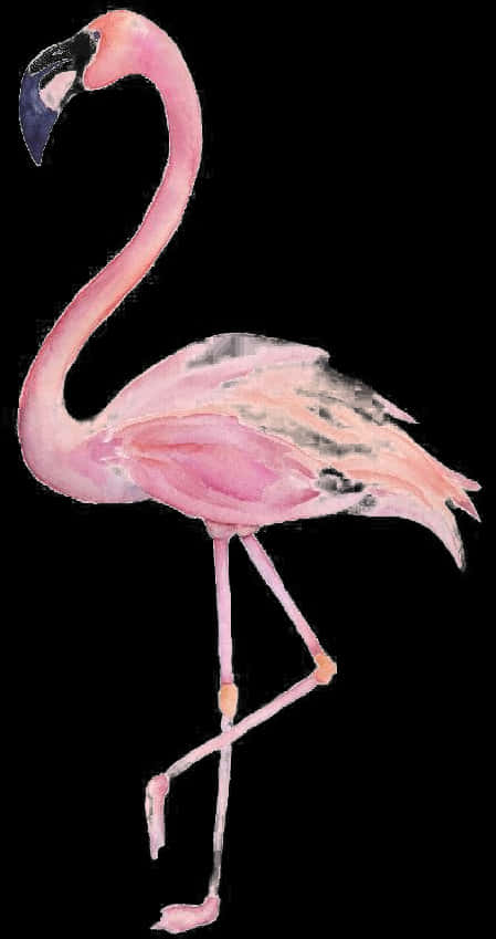 Elegant Pink Flamingo Standing PNG