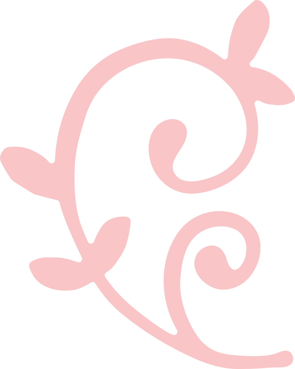 Elegant Pink Flourish Graphic PNG