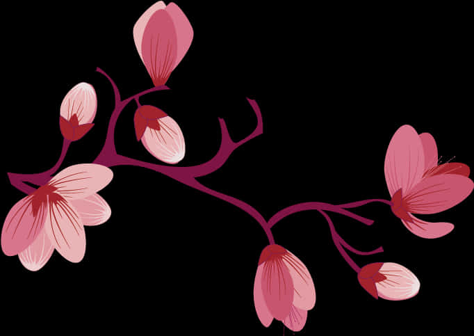 Elegant Pink Flowers Vector Illustration PNG