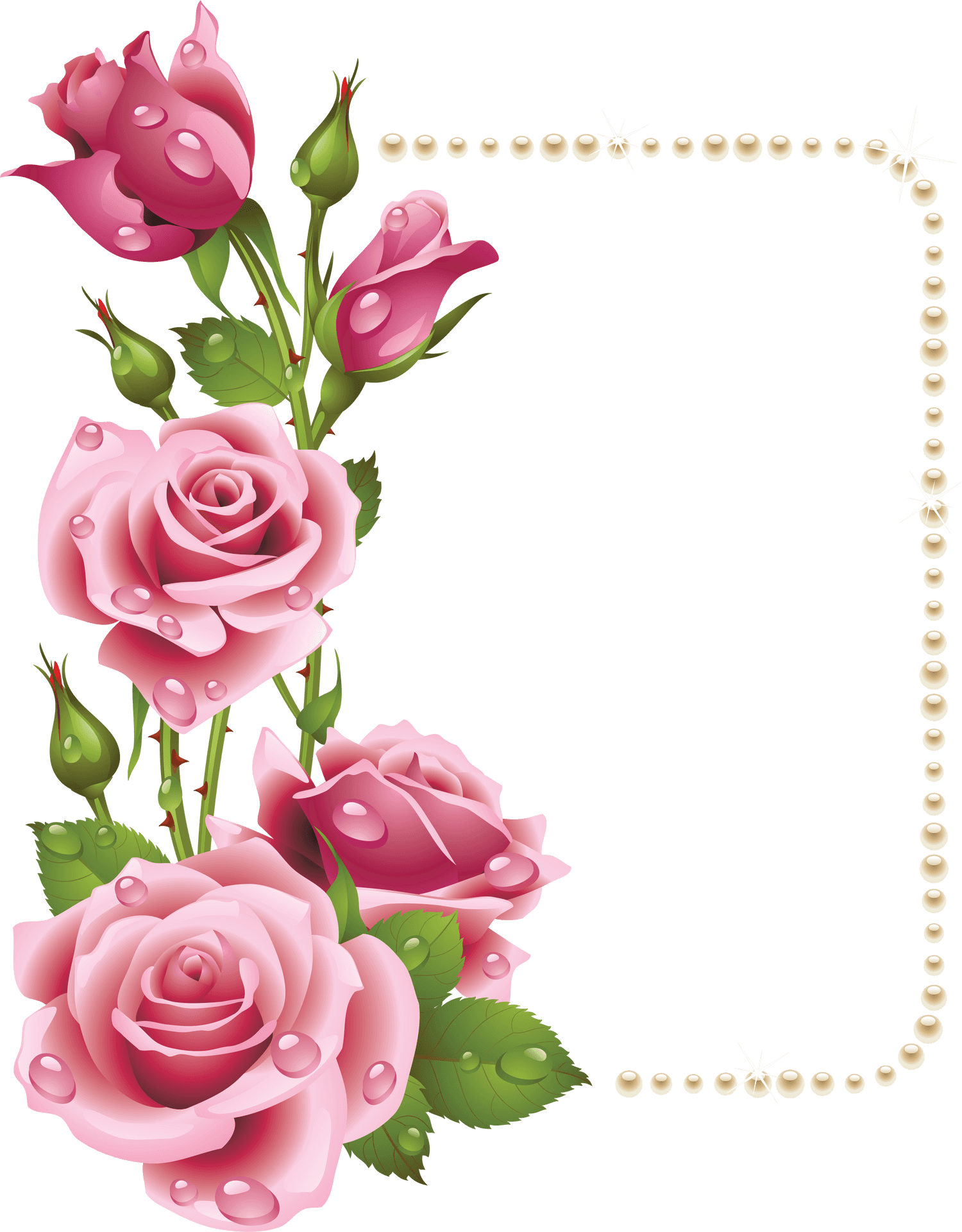Elegant Pink Rose Frame PNG